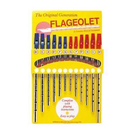 Présentoir avec 12 flageolets