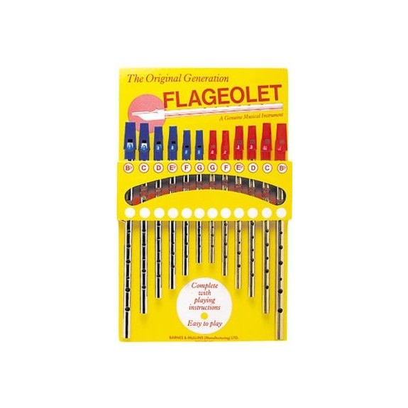 Présentoir avec 12 flageolets