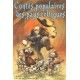 Contes populaires des pays celtiques