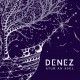 Denez | Stur an Avel