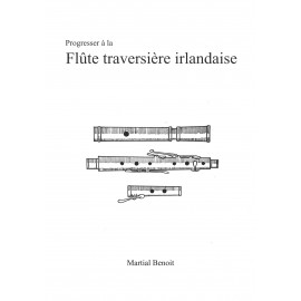 Initiation au whistle (FLÛTE, Méthodes, Manu Maugain).