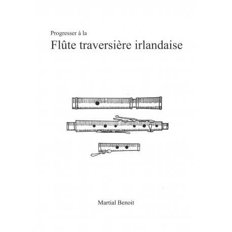 Progresser à la flûte traversière irlandaise