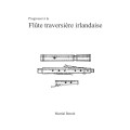 Progresser à la flûte traversière irlandaise