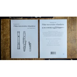 Progresser à la flûte traversière irlandaise