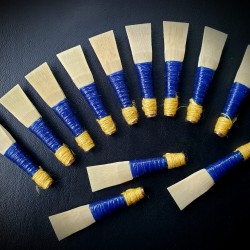 Anche de pipe-chanter Megarity