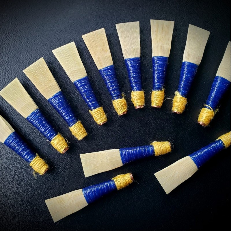 Anche de pipe-chanter Megarity